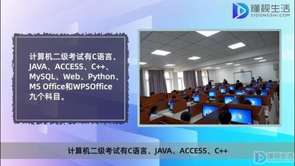 計(jì)算機(jī)等級(jí)考試一二三四級(jí)與專(zhuān)業(yè)方向的差異分析